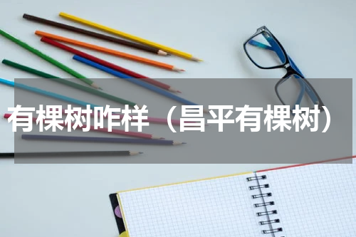 有棵树咋样（昌平有棵树）