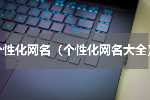 个性化网名（个性化网名大全）