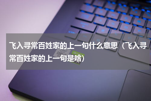 飞入寻常百姓家的上一句什么意思（飞入寻常百姓家的上一句是啥）