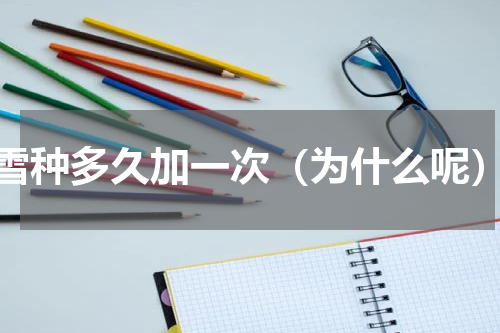 雪种多久加一次（为什么呢）
