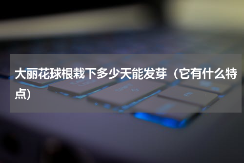 大丽花球根栽下多少天能发芽（它有什么特点）