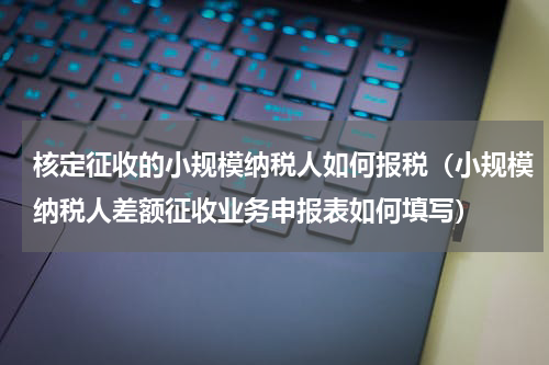 核定征收的小规模纳税人如何报税（小规模纳税人差额征收业务申报表如何填写）