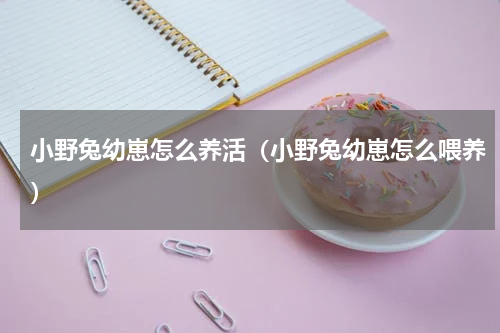 小野兔幼崽怎么养活（小野兔幼崽怎么喂养）