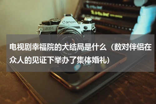 电视剧幸福院的大结局是什么（数对伴侣在众人的见证下举办了集体婚礼）