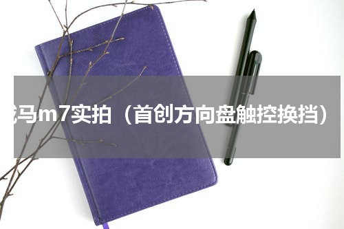 威马m7实拍（首创方向盘触控换挡）