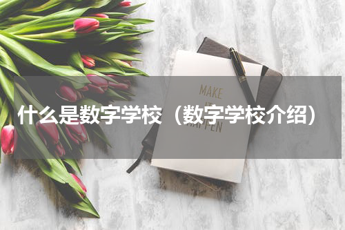 什么是数字学校（数字学校介绍）