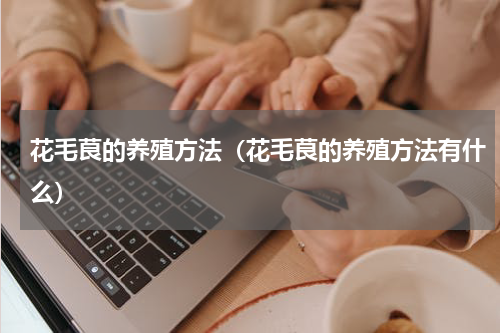 花毛茛的养殖方法（花毛茛的养殖方法有什么）