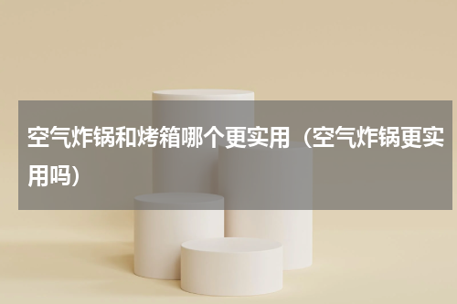 空气炸锅和烤箱哪个更实用（空气炸锅更实用吗）