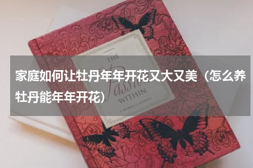 家庭如何让牡丹年年开花又大又美（怎么养牡丹能年年开花）