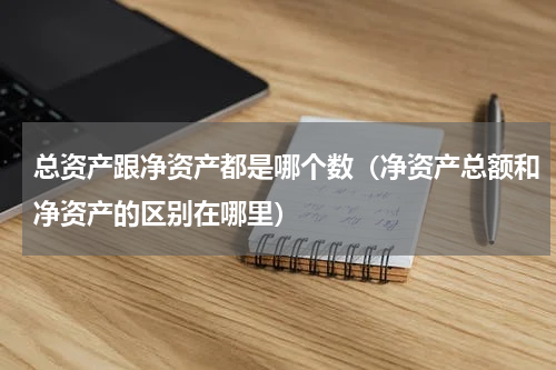 总资产跟净资产都是哪个数（净资产总额和净资产的区别在哪里）
