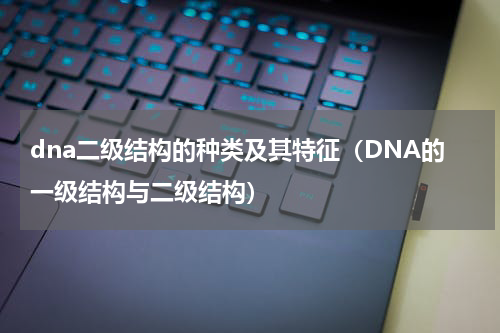 dna二级结构的种类及其特征（DNA的一级结构与二级结构）