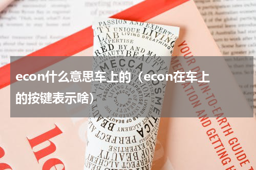 econ什么意思车上的（econ在车上的按键表示啥）