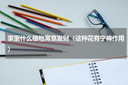 家里什么植物寓意发财（这种花有宁神作用）