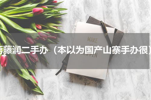 斋藤润二手办（本以为国产山寨手办很）