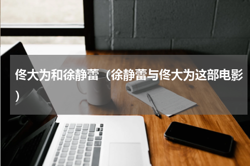 佟大为和徐静蕾（徐静蕾与佟大为这部电影）
