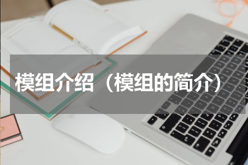 模组介绍（模组的简介）