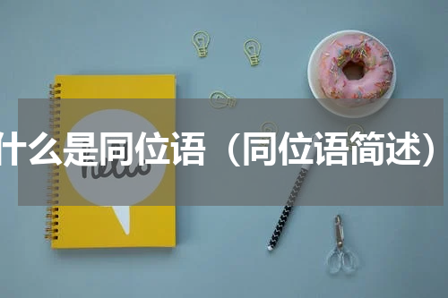 什么是同位语（同位语简述）