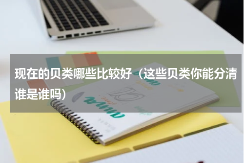 现在的贝类哪些比较好（这些贝类你能分清谁是谁吗）