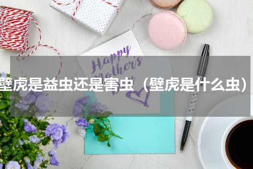 壁虎是益虫还是害虫（壁虎是什么虫）