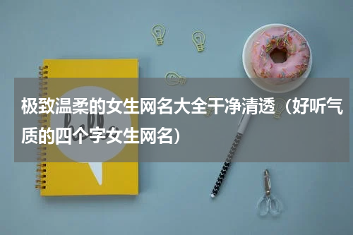 极致温柔的女生网名大全干净清透（好听气质的四个字女生网名）