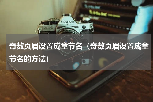 奇数页眉设置成章节名（奇数页眉设置成章节名的方法）