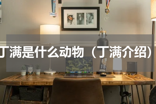 丁满是什么动物（丁满介绍）