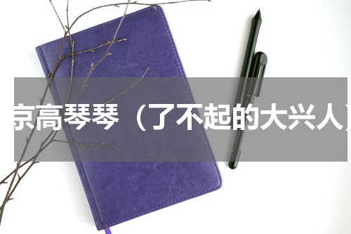 北京高琴琴（了不起的大兴人）