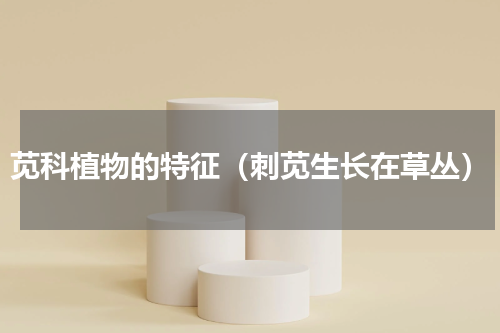 苋科植物的特征（刺苋生长在草丛）