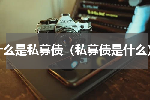 什么是私募债（私募债是什么）