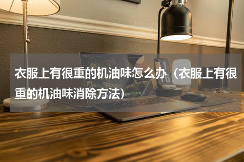衣服上有很重的机油味怎么办（衣服上有很重的机油味消除方法）