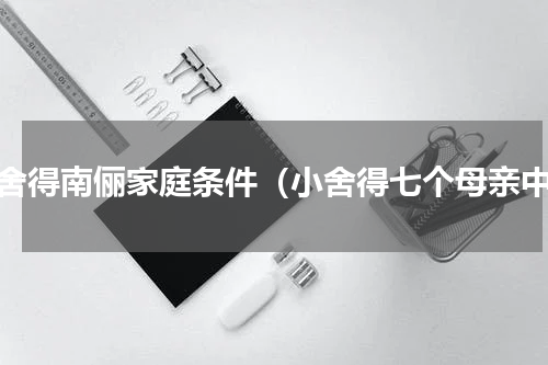 小舍得南俪家庭条件（小舍得七个母亲中）