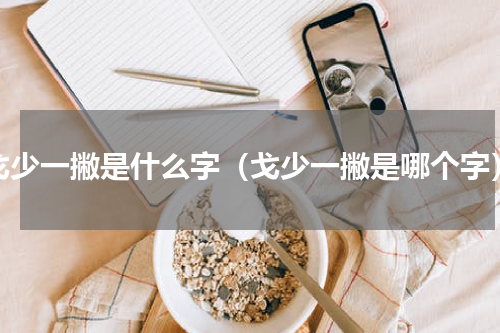 戈少一撇是什么字（戈少一撇是哪个字）