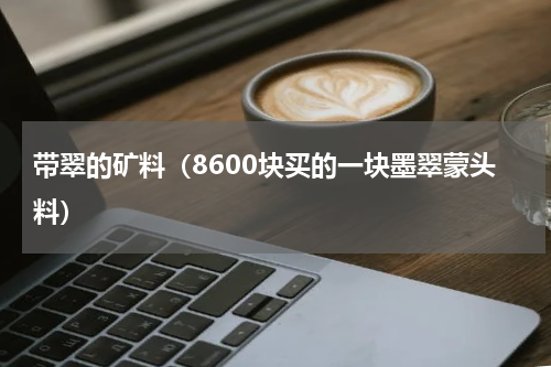 带翠的矿料（8600块买的一块墨翠蒙头料）