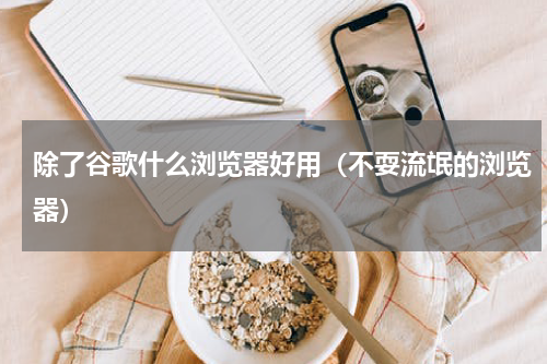 除了谷歌什么浏览器好用（不耍流氓的浏览器）
