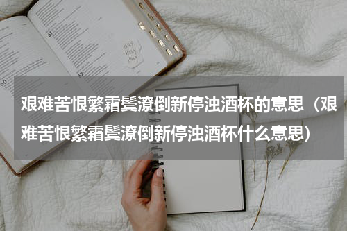 艰难苦恨繁霜鬓潦倒新停浊酒杯的意思（艰难苦恨繁霜鬓潦倒新停浊酒杯什么意思）