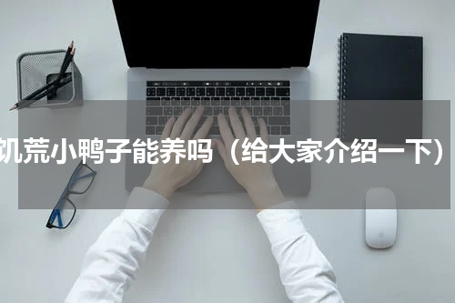 饥荒小鸭子能养吗（给大家介绍一下）