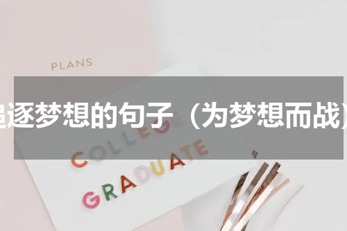 追逐梦想的句子（为梦想而战）