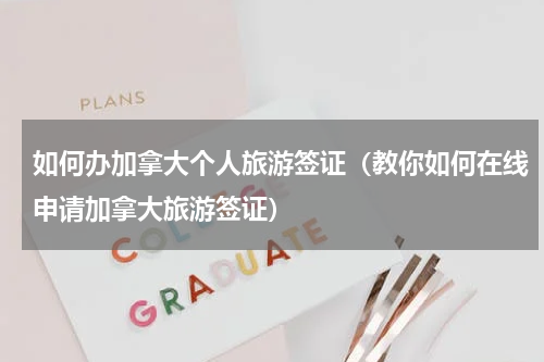 如何办加拿大个人旅游签证（教你如何在线申请加拿大旅游签证）