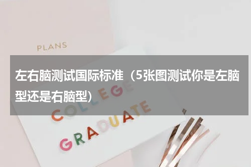 左右脑测试国际标准（5张图测试你是左脑型还是右脑型）