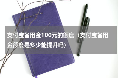 支付宝备用金100元的额度（支付宝备用金额度是多少能提升吗）