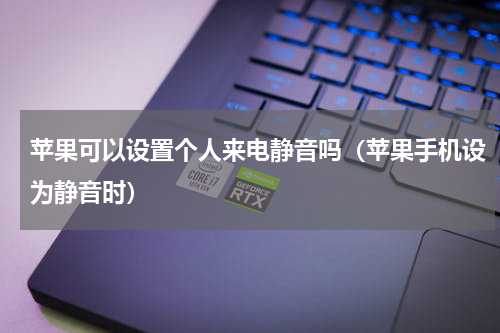 苹果可以设置个人来电静音吗（苹果手机设为静音时）