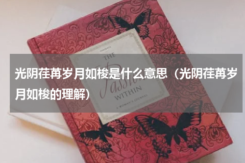 光阴荏苒岁月如梭是什么意思（光阴荏苒岁月如梭的理解）