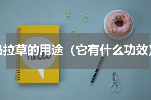 乌拉草的用途（它有什么功效）