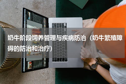 奶牛阶段饲养管理与疾病防治（奶牛繁殖障碍的防治和治疗）