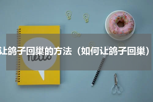 让鸽子回巢的方法（如何让鸽子回巢）
