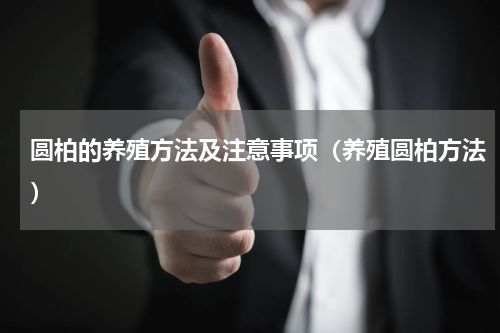 圆柏的养殖方法及注意事项（养殖圆柏方法）