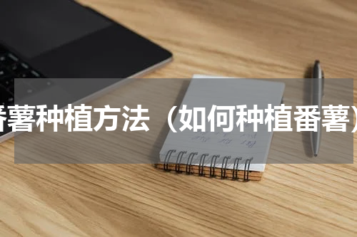 番薯种植方法（如何种植番薯）