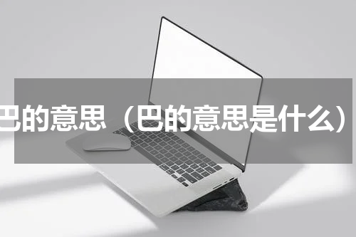 巴的意思（巴的意思是什么）