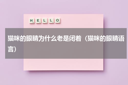 猫咪的眼睛为什么老是闭着（猫咪的眼睛语言）