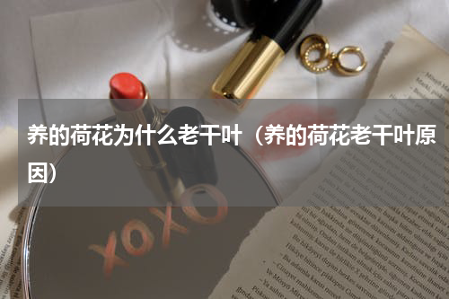 养的荷花为什么老干叶（养的荷花老干叶原因）
